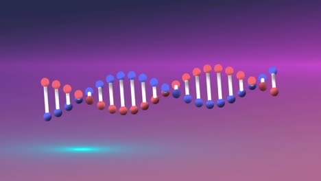 Animation-Eines-DNA-Strangs,-Der-Sich-über-Leuchtendem-Neonhintergrund-Dreht