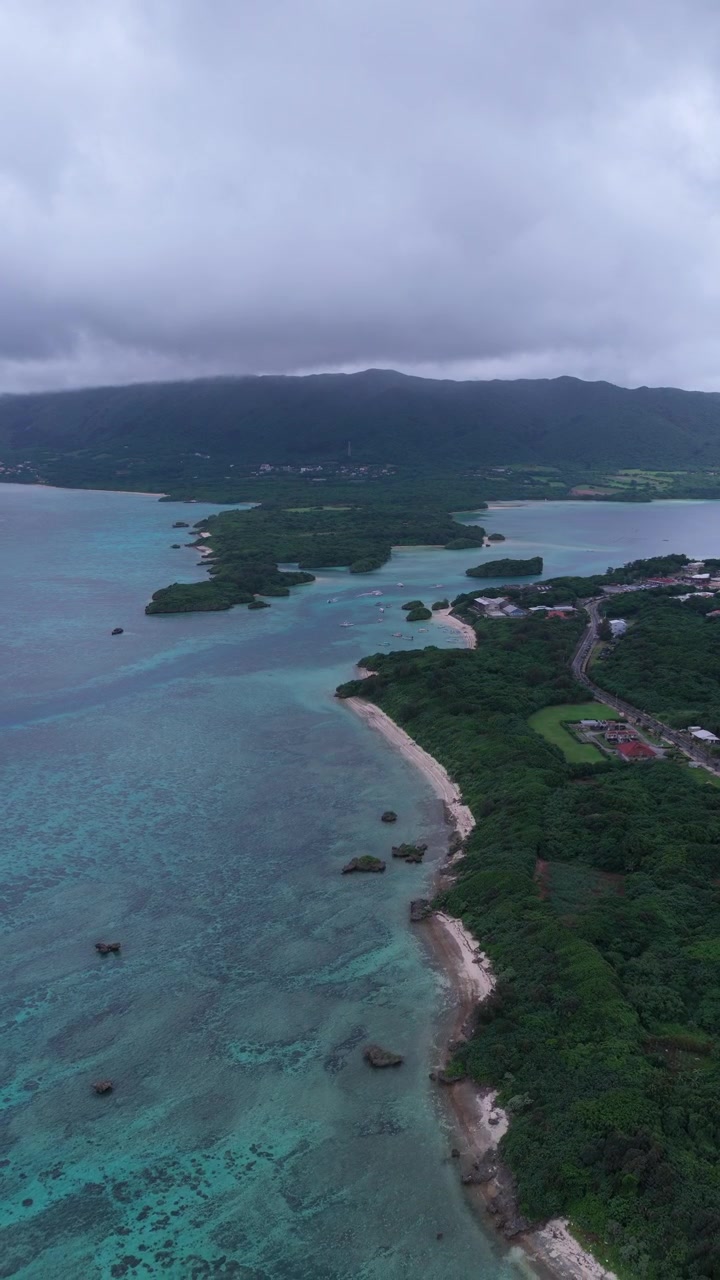 Verticale - Costa e vegetazione lussureggiante della Baia di Kabira vicino alla Spiaggia di Tabaga sull'isola di Ishigaki, Okinawa, Giappone. Ripresa drone in allontanamento.