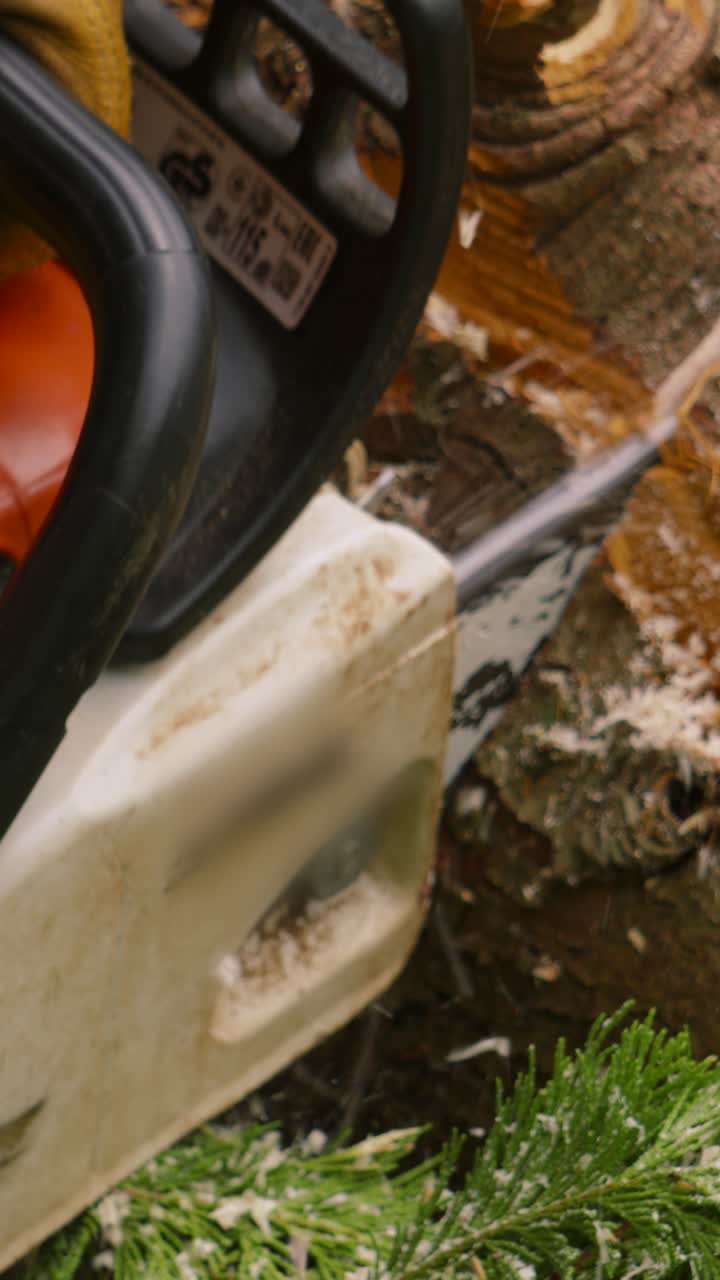 Close-Up of Chainsaw Cutting Through a Large Wood Log