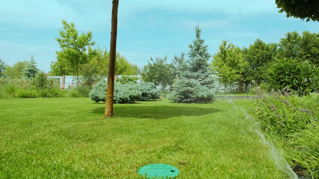 정원, 잔디, 꽃에 물을 뿌리는 클로즈업, 빛에 물방울, 풀과 꽃에 대한 자동 관개 시스템.