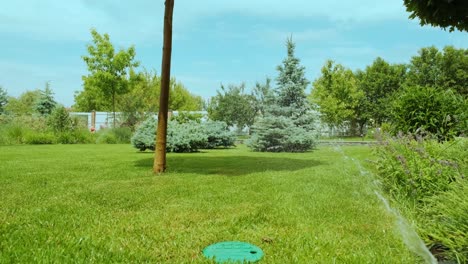 primer plano de riego del jardín, la hierba y las flores en el parque, gotas de agua en la luz del sol. sistema de riego automático para la hierba y las flores. gotas de water son salpicadas en la luz de sol.
