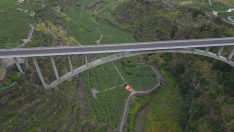 aerial view of a modern bridge spanning a green valley with plantations