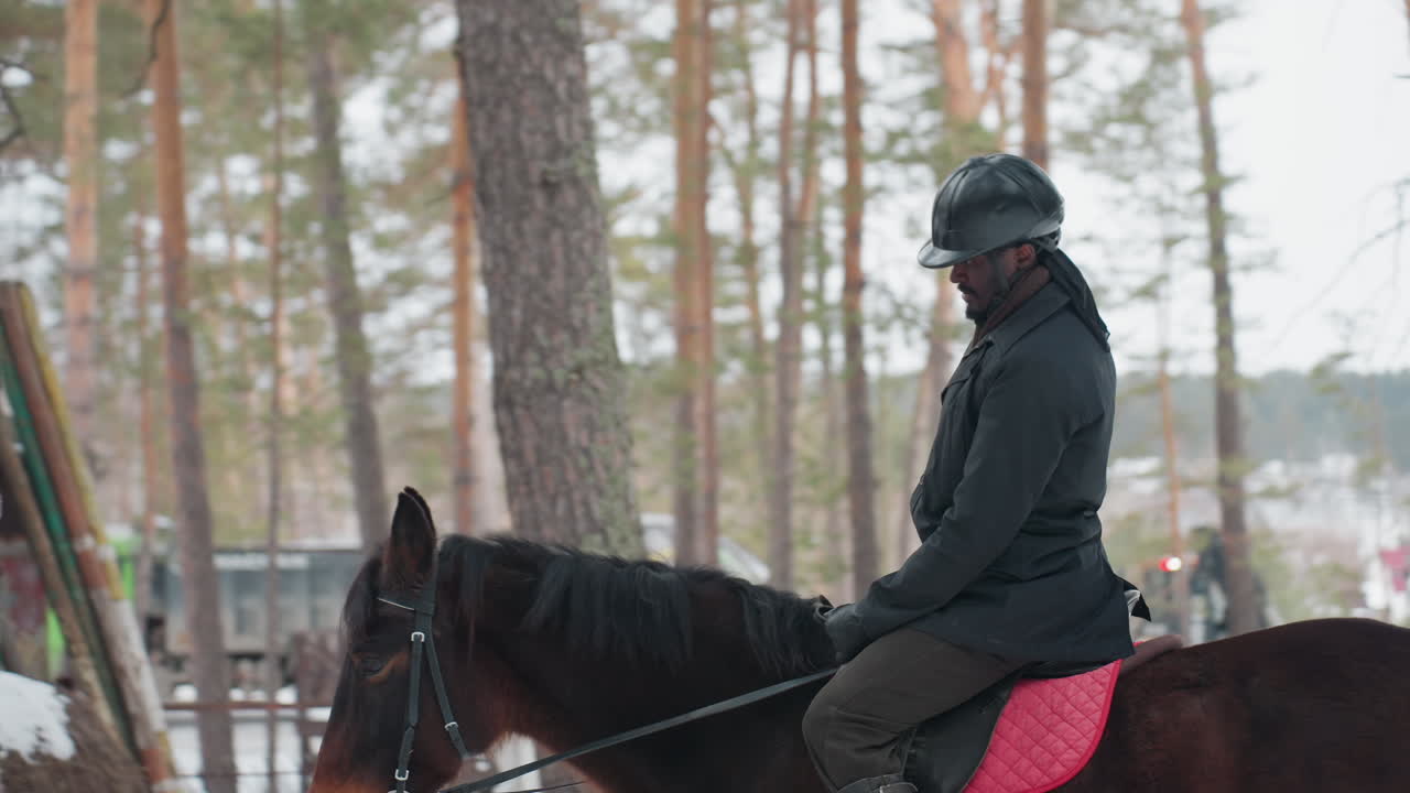 escena ecuestre apacible, jinete sereno en bosques nevados, entrenamiento tranquilo de jinete a caballo en medio de un entorno forestal helado, jinete tranquilo practicando habilidades dentro de un bosque nevado durante el invierno