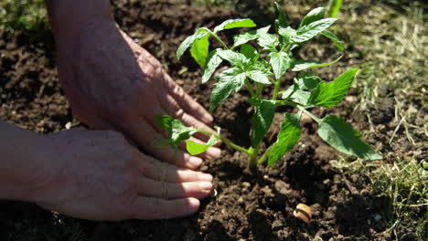 doing gardening work.