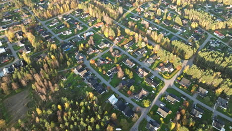 sweden - villas in a beautiful autumn forest of fir and birch trees and a residential area lit by the warm sunset - drone flying backwards