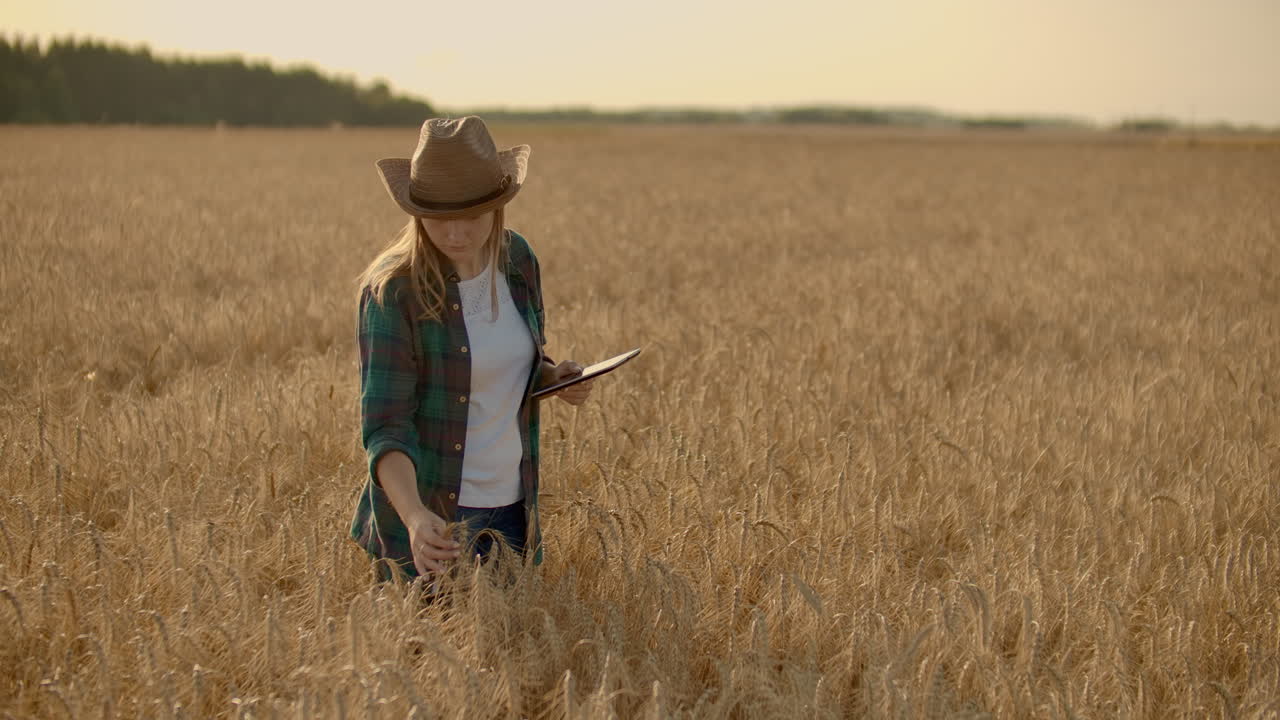 Giovane agricoltrice che lavora con un tablet nel campo al tramonto. Il concetto di proprietaria di una piccola impresa.
