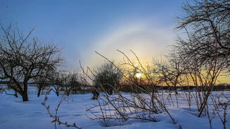 Zeitraffer-Eines-Wunderschönen-Sonnenuntergangs-Auf-Einem-Weißen-Winterfeld-Mit-Blattlosen-Bäumen---Farbenfroher-Himmel,-Der-Während-Der-Goldenen-Und-Blauen-Stunde-Seine-Farben-ändert---Zeitraffer-Von-Tag-Zu-Nacht-In-Der-Dämmerung