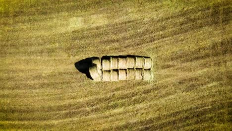 drone flight over agricultural field.
