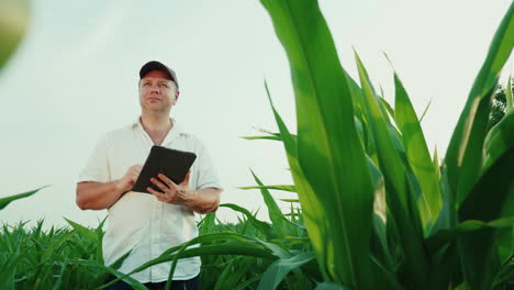 Happy-Middle-Aged-Farmer-Working-On-A-Field-Of-Corn