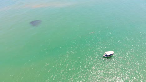 Imágenes-Aéreas-De-Un-Barco-Balanceándose-Tranquilamente-En-Un-Mar-Verde-En-Un-Día-Soleado