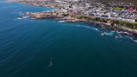 Group-of-kayakers-paddle-toward-rocky-coastline,-Hermanus,-South-Africa