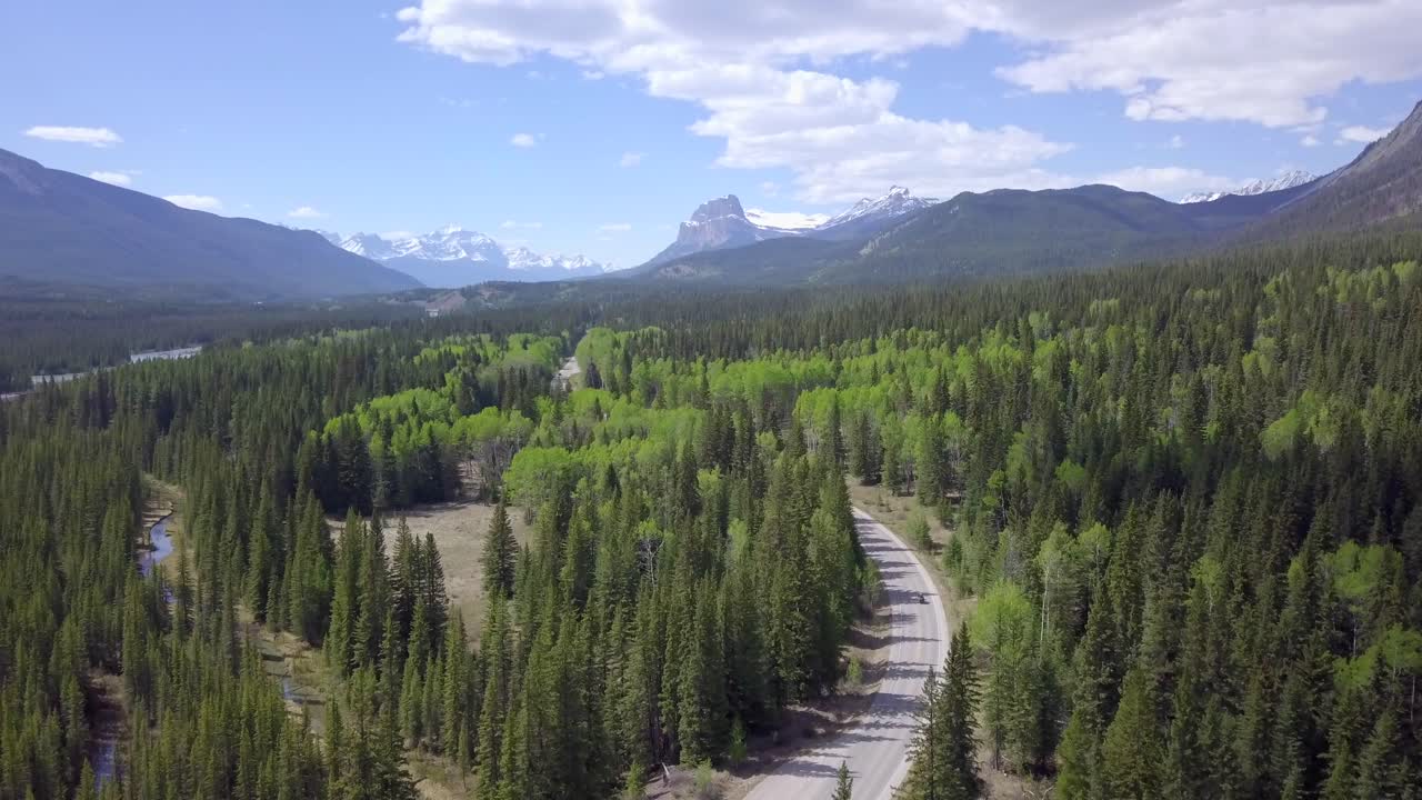 Un motociclista percorre una splendida area forestale di abeti neri nel Parco Nazionale di Banff in Canada, ripresa aerea statica.