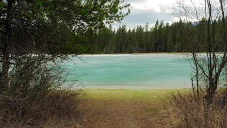 Lago-Verde-Azulado-Brillante-Alimentado-Por-Glaciares-Entre-Los-árboles-Estériles