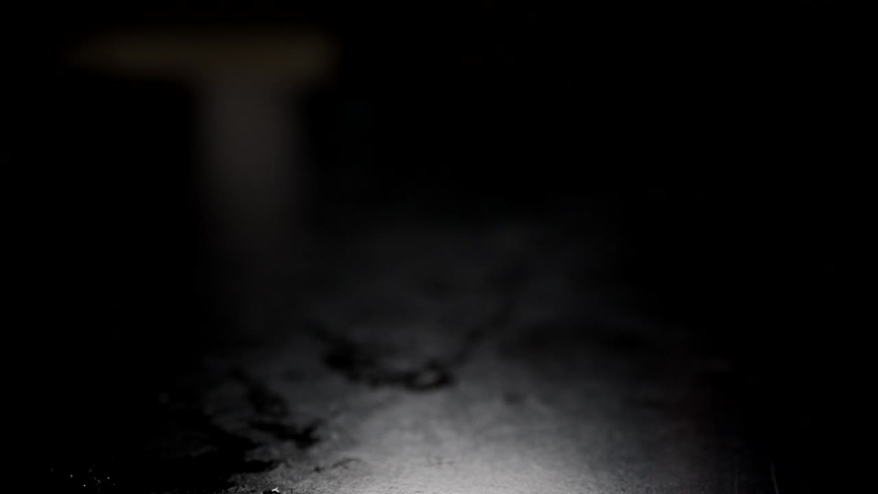 cocina de salmón oscuro