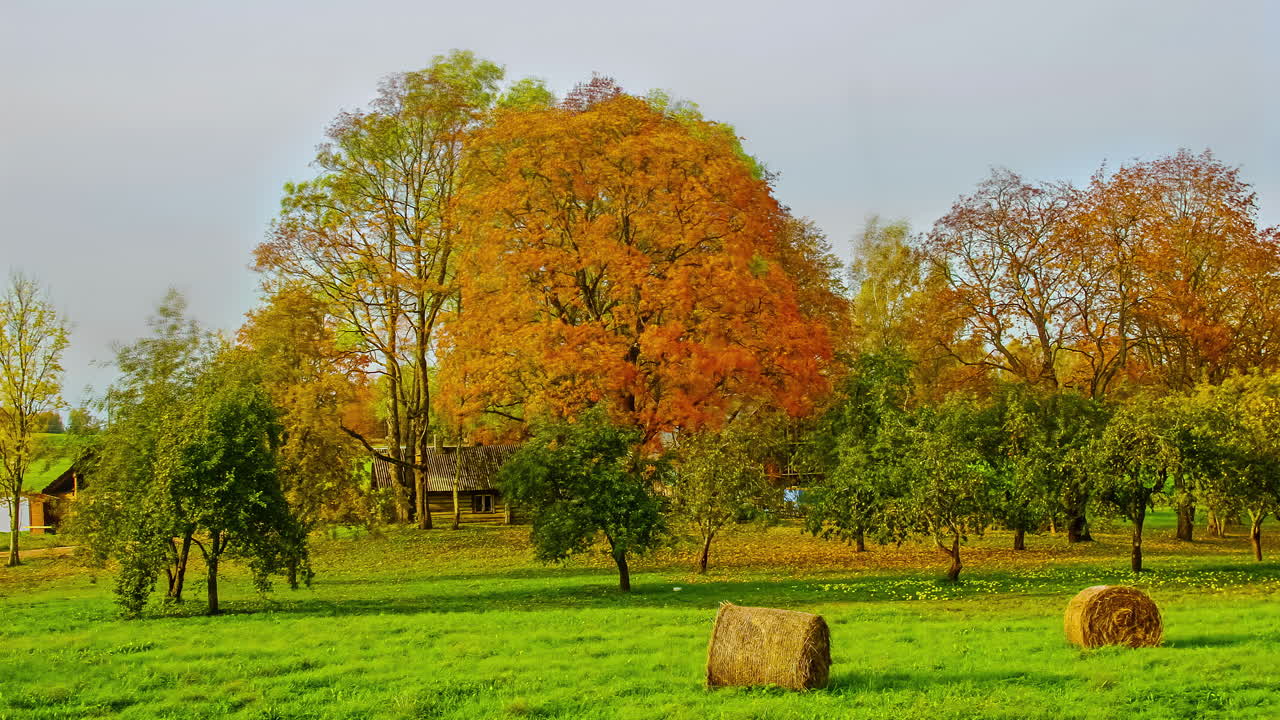 Syksyinen aikaviivekuvaus oransseine lehtineen puissa maaseudulla.