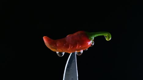 capsicum annuum chile revelado: gotas de lluvia y el arte de las rebanadas