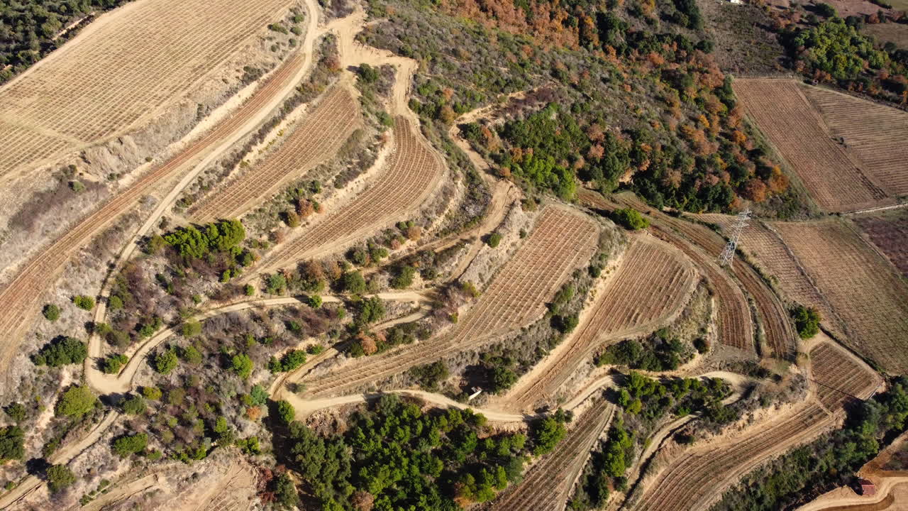 Aerial View of Terraced Vineyards