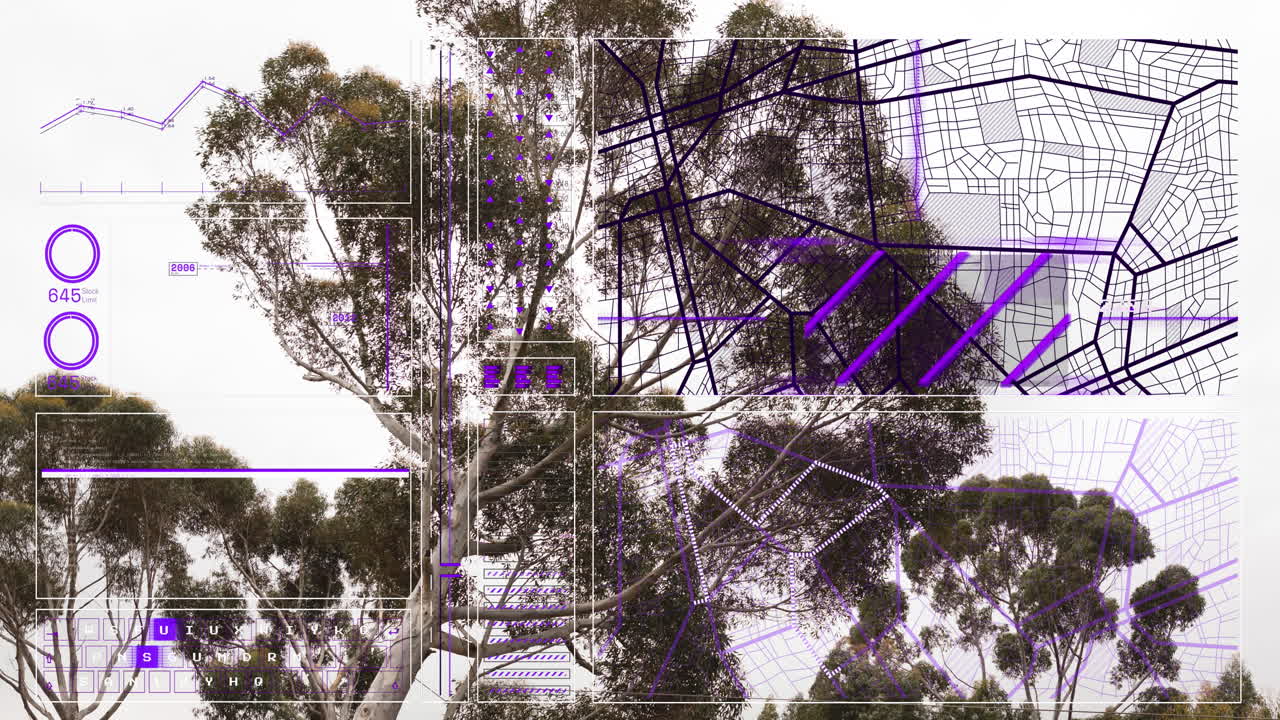 ⁇ 은 하늘을 배경으로 나무의 낮은 각도 뷰를 통해 데이터 처리 인터페이스의 애니메이션