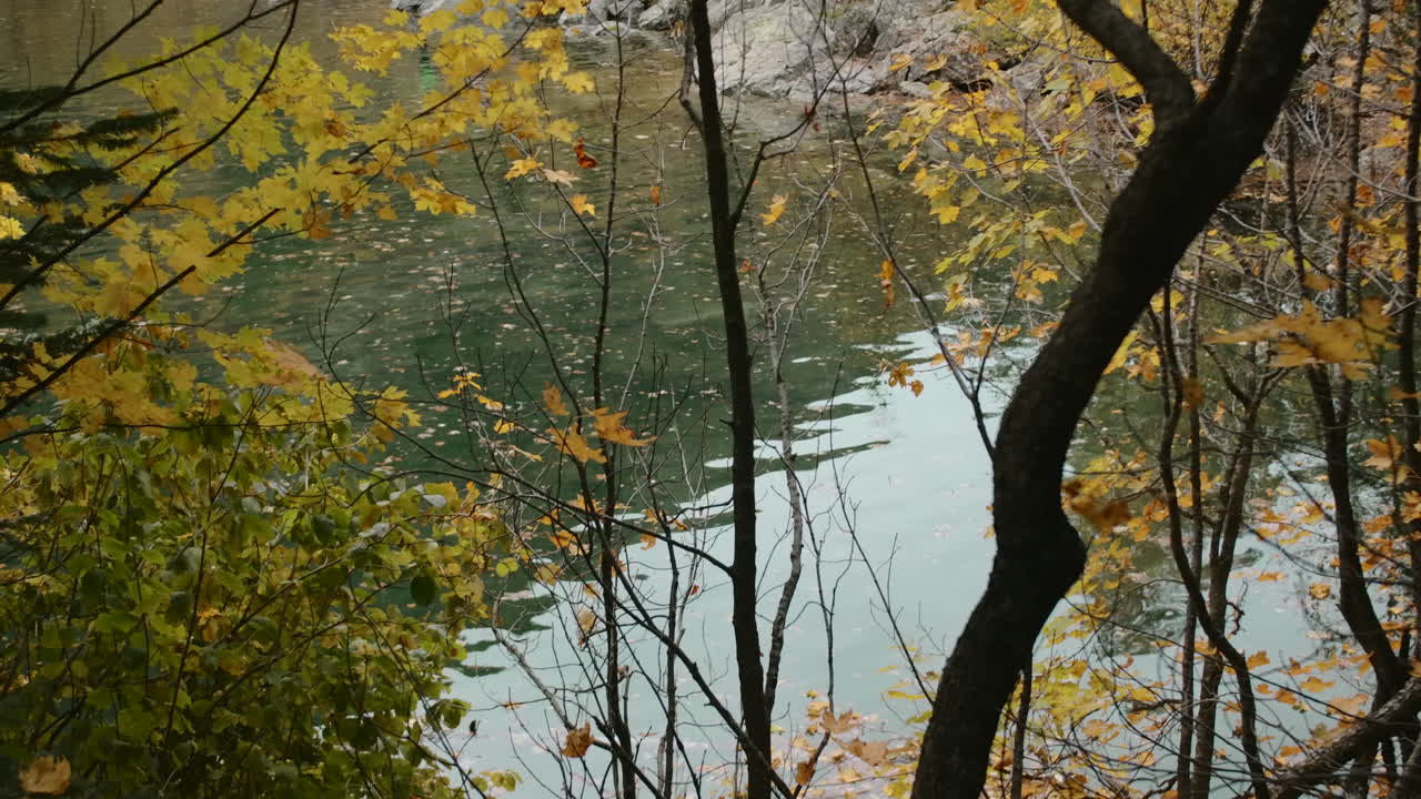 사람 들 과 함께 가을 호수 풍경