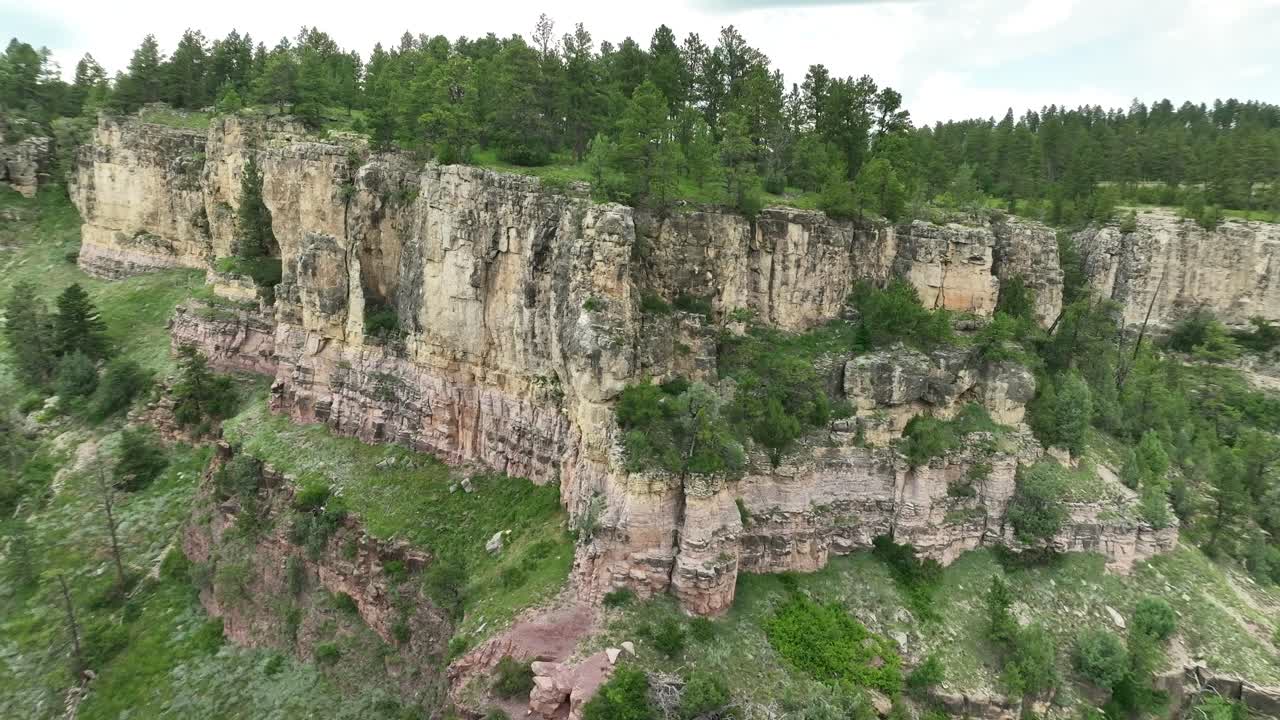 A panning and orbiting shot from a drone inside a forested canyon