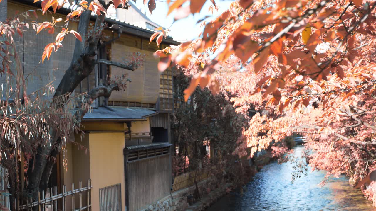 hermosas hojas de naranja en la temporada de otoño sobre un río en kyoto, japón iluminación suave cámara lenta 4k