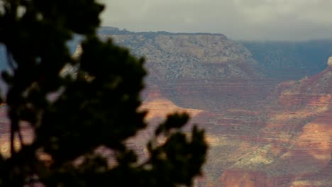una panorámica de detrás de los árboles, que revela el borde sur del gran cañón