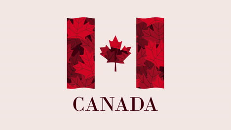 canadian flag with maple leaf pattern