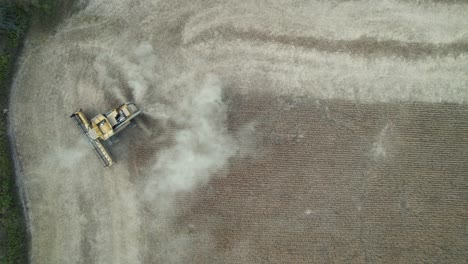 in wisconsin, a combine cuts and collects the soybean harvest