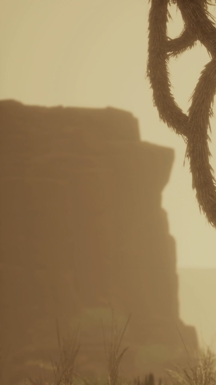 Scogliere desertiche polverose si ergono sotto un bagliore sfocato del tramonto vicino a un cactus saguaro.