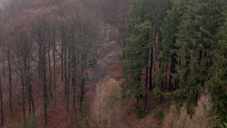 Herbstlandschaft-Im-Sauerlandwald