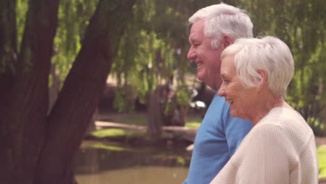 abuelos caminando en un parque