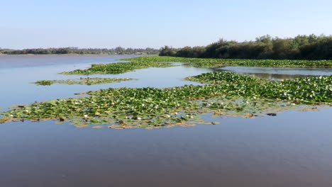 Lagoa-da-Vela-one-of-the-largest-freshwater-lakes-in-the-Iberian-Peninsula,-with-several-spaces-covered-with-water-lilies,-and-surrounded-by-trees