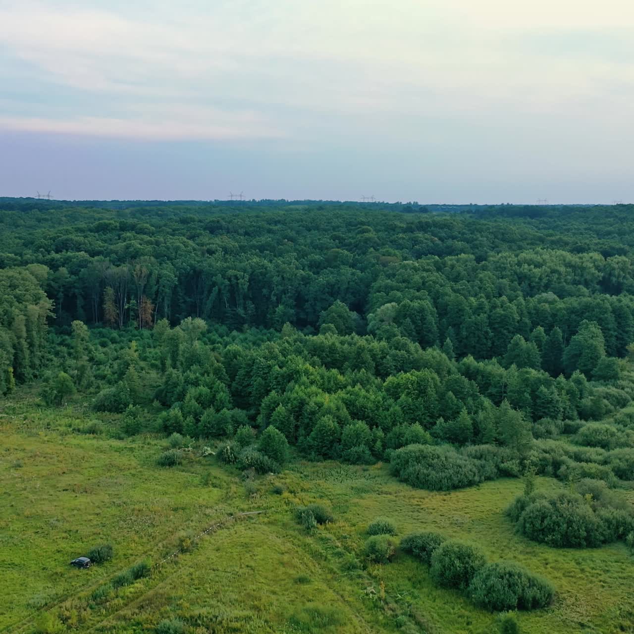 Green nature drone shot with forest