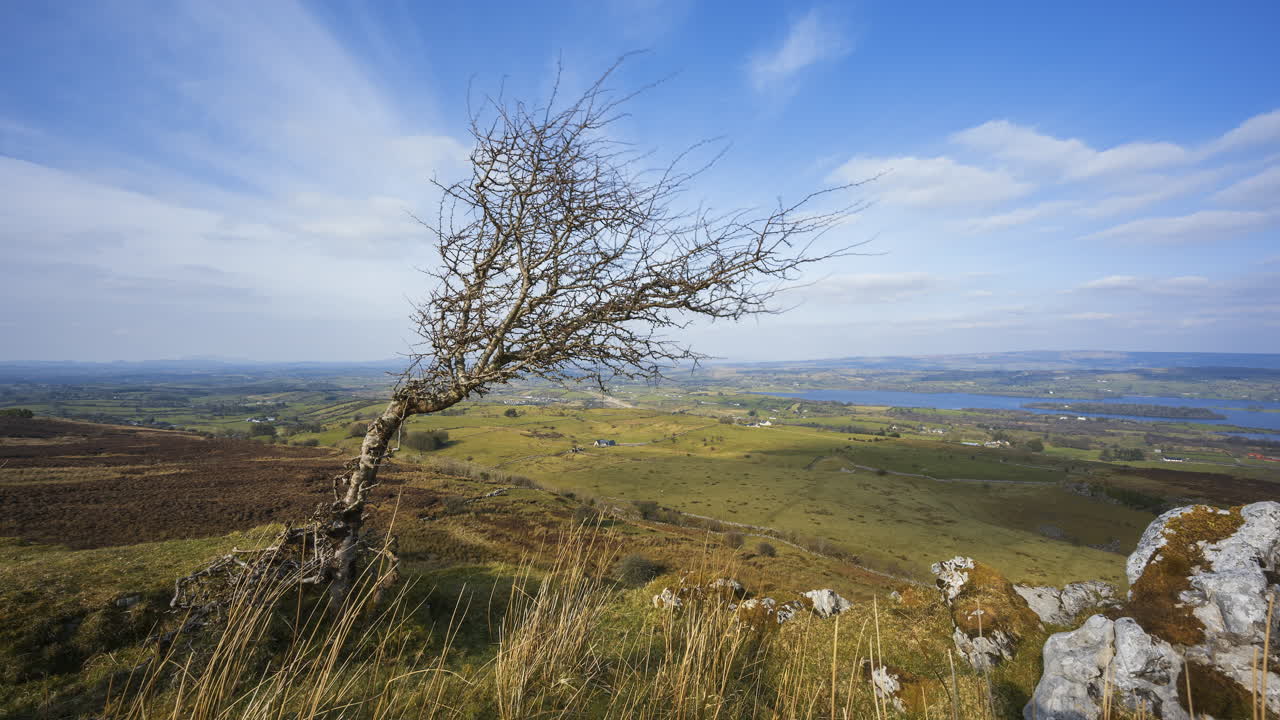 lapso de tiempo del paisaje rural y remoto de hierba, árboles y rocas durante el día en las colinas de carrowkeel en el condado de sligo, irlanda