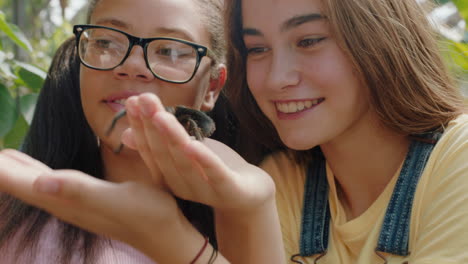 teenage girls playing with tarantula spider friends taking photos using smartphone sharing zoo excursion on social media having fun learning about arachnids at wildlife sanctuary 4k