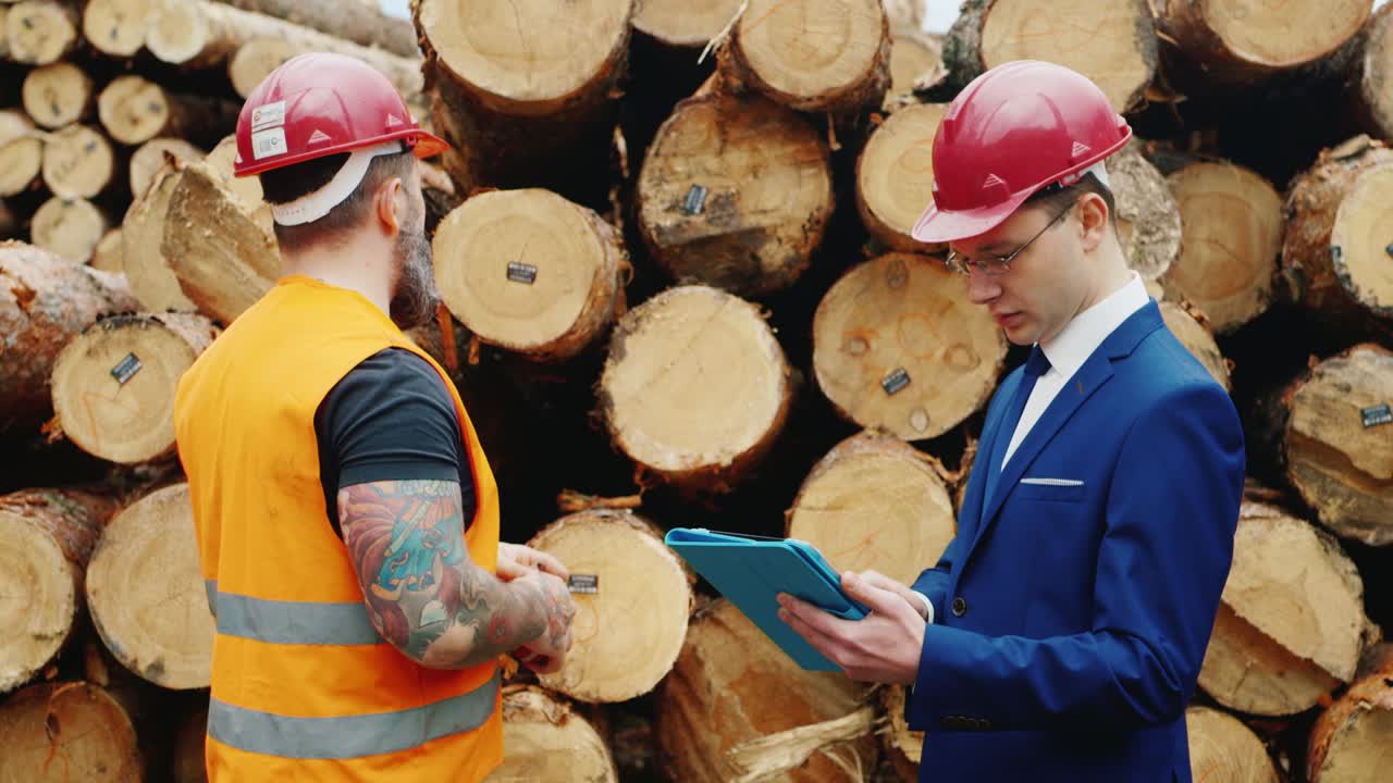 forester comprueba la calidad de la madera de construcción