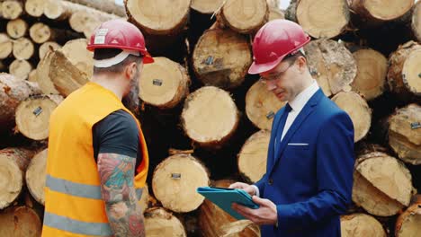 forester checks the quality of construction wood