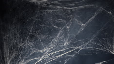 Halloween-Gruseliges-Spinnennetz-Und-Nebelnebelrauch-Im-Dunkeln