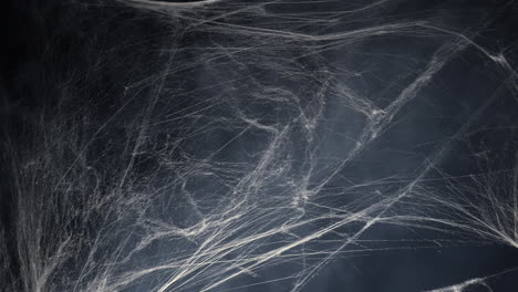 halloween spooky spider web and fog mist smoke in the dark