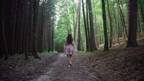 girl in dress walking through the forest with towering trees