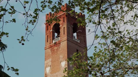 close up of upper part of tower of dead framed by leaves