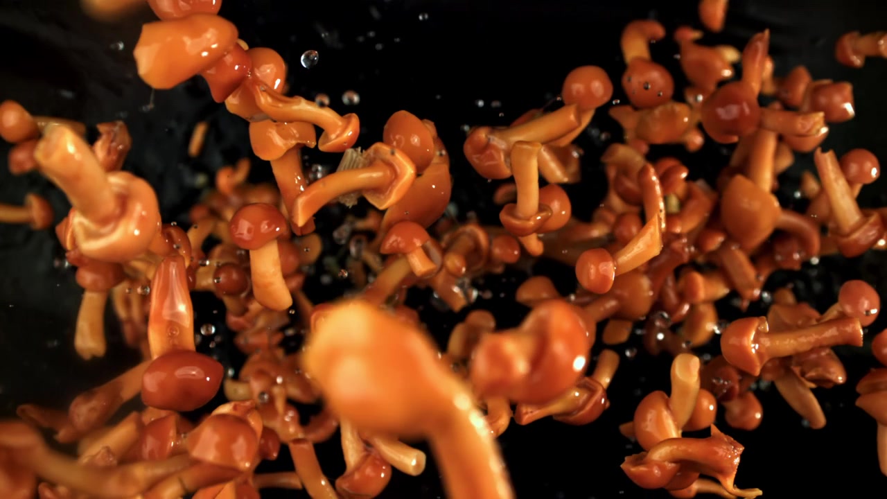 Fresh Orange Mushrooms Flying Upwards in Super Slow Motion
