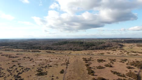 Toma-Aérea-De-Los-Bosques-Y-Campos-De-La-Campiña-Inglesa-Bajo-El-Sol-De-Verano