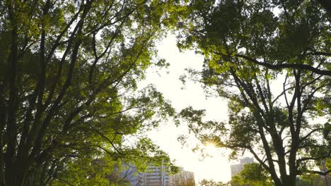 The-beautiful-park-in-Osaka