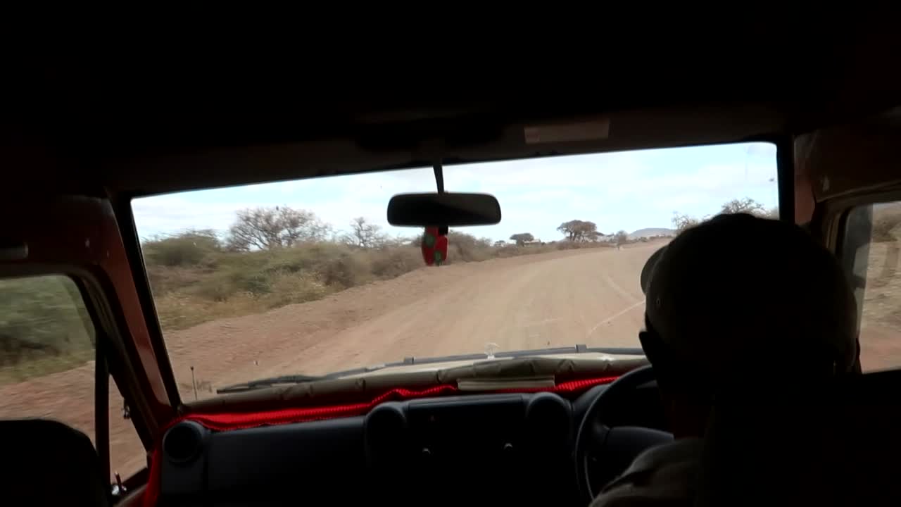 Guía de safari tanzano local conduciendo un coche 4x4 por un camino de tierra accidentado.