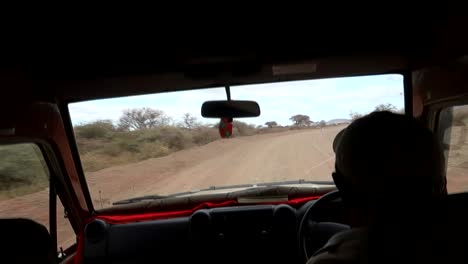 guía local de safari de tanzania conduciendo un camión 4x4 en un camino sucio y lleno de baches