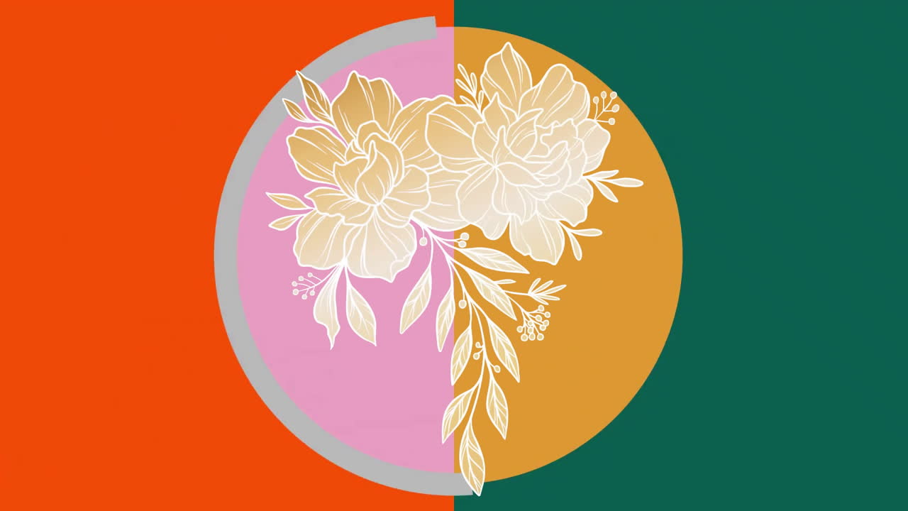 Animation of flowers and colourful shapes on red and green background