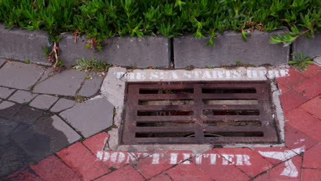 drainage grate on coastline with stencilled message as reminder to not litter