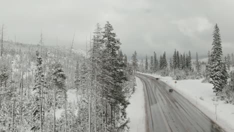 4k aerial snowy forest with country road in the middle