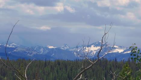rocky mountain in snow with pine tree foliage in foreground in idaho